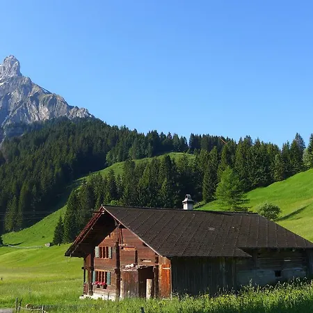 Hami Villa Adelboden Room photo